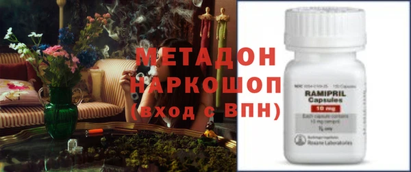 прущие грибы Арсеньев