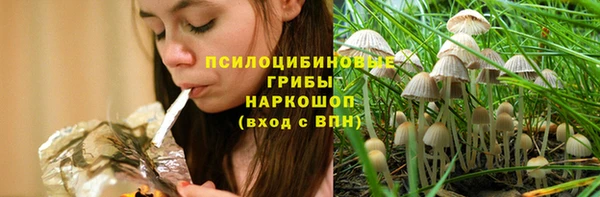 прущие грибы Арсеньев