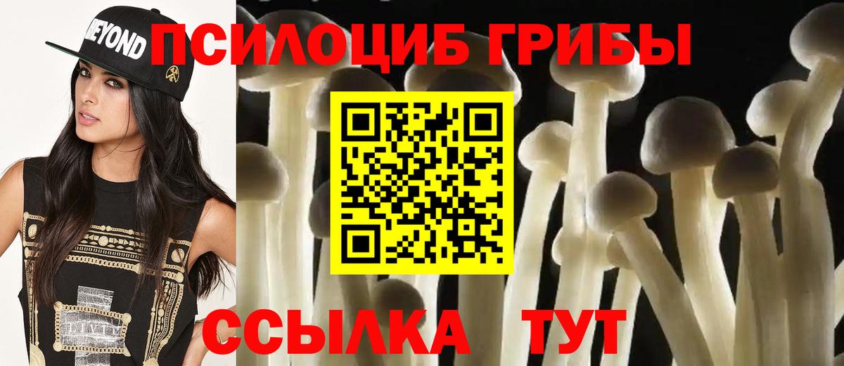 Белебей  Псилоцибиновые грибы Psilocybine cubensis  Вход с VPN  Псилоцибиновые грибы GOLDEN TEACHER 